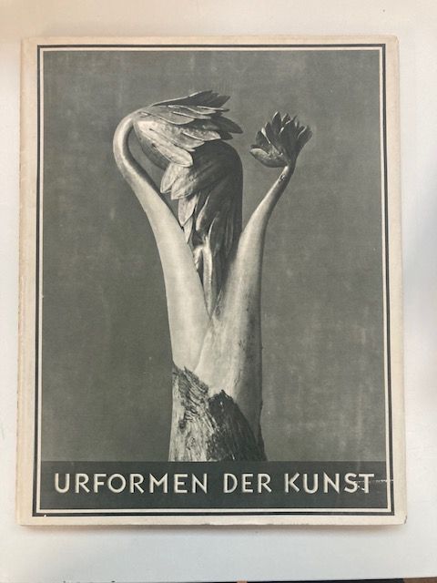 Blossfeldt, Urformen der Kunst.