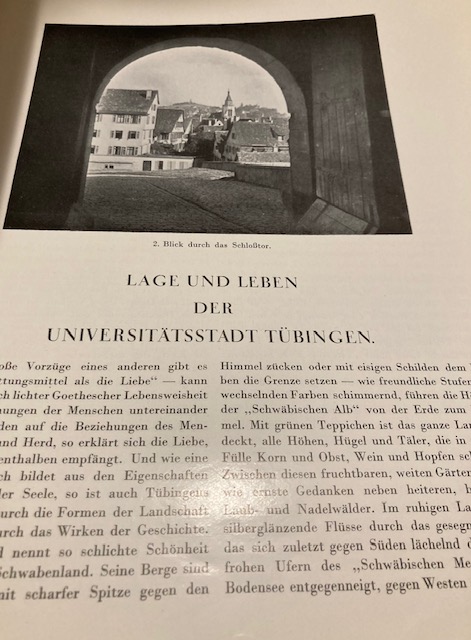 Knapp/Kohler. Univ. Tübingen.