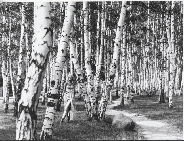 Lazi, Berlin. Grunewald, Birkenwald mit Model