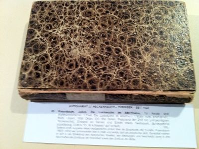 Rosenbaum, Die Lustseuche im Alterthume, für Aerzte und Alterthumsforscher.