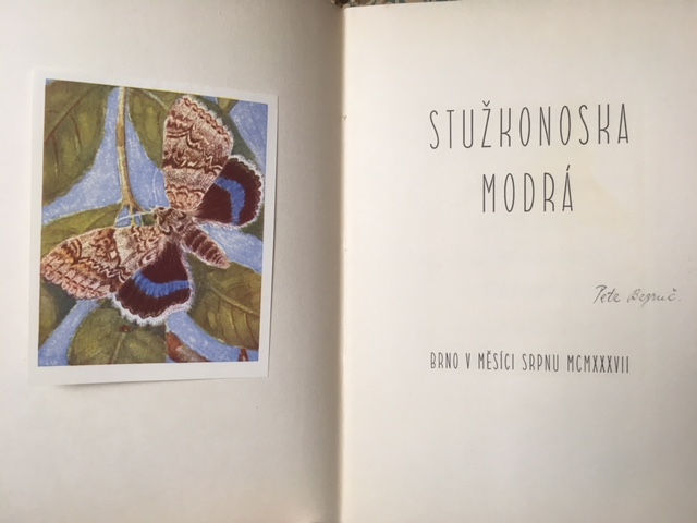 Bezruc, Stukonoska Moda