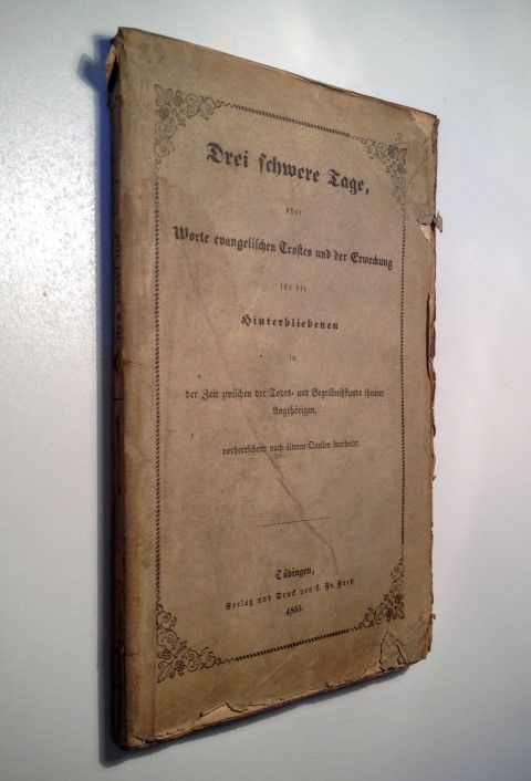 Fischer, Drei Kameraden.