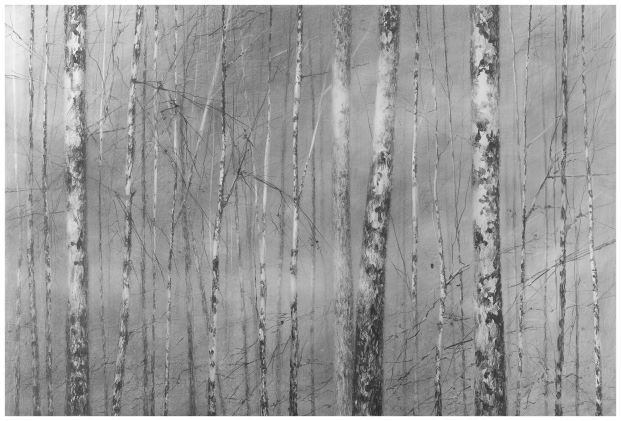 Akulin, ohne Titel / untitled.
